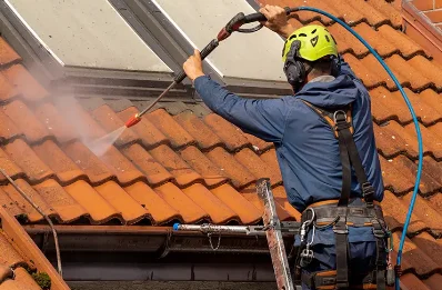 Démoussage et hydrofuge de toiture à Magnas